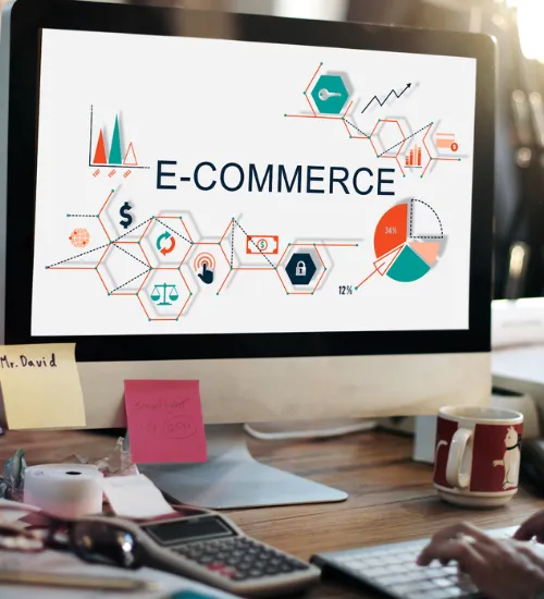 Ecommerce Web Development